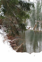frischer Schnee
