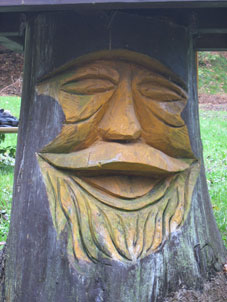 Lachen im Wald