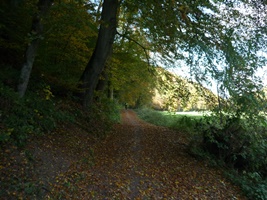 Herbst-Rückweg